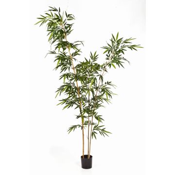 Bambou artificiel HIROKI, troncs naturels, vert, 260cm