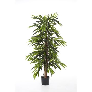 Longifolia artificiel AKUMO, vrais troncs, vert, 150cm