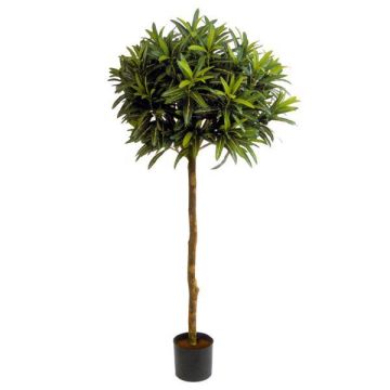 Longifolia artificiel ISABELLA, vrai tronc, vert, 150cm