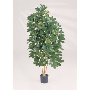 Schefflera synthétique SAMANTHA, vrais troncs, vert, 110cm
