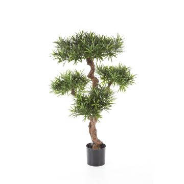 Podocarpus artificiel TITUS, tronc naturel, vert, 110cm