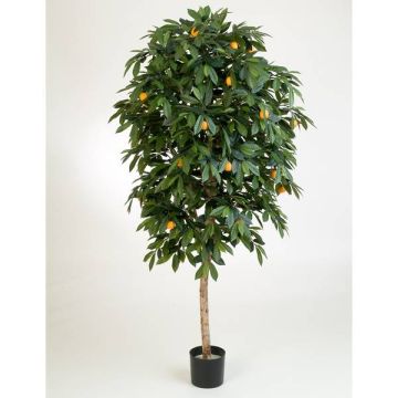 Oranger artificiel CELIA, vrai tronc, avec fruits, vert, 110cm