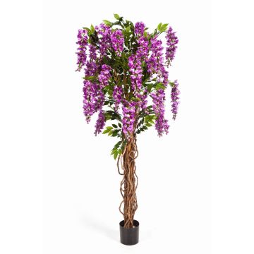 Fausse glycine ARIANA, vrais troncs, fleurs, lilas, 180cm