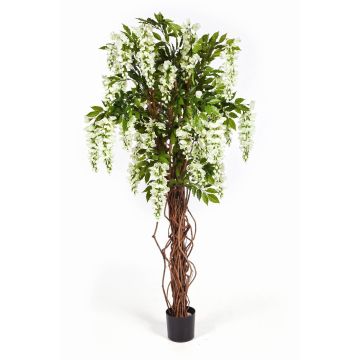 Fausse glycine ARIANA, vrais troncs, fleurs, blanc, 180cm