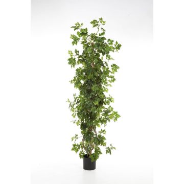 Pied de vigne artificiel NIKA, troncs naturels, vert, 100cm