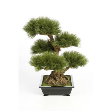 Faux bonsai pin TAYLOR, racines, coupe céramique, vert, 70cm