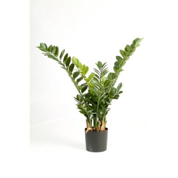 Zamioculcas Zamiifolia artificiel AKONO, vert, 100cm