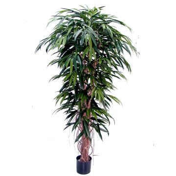 Longifolia synthétique PARI, troncs naturels, vert, 150cm