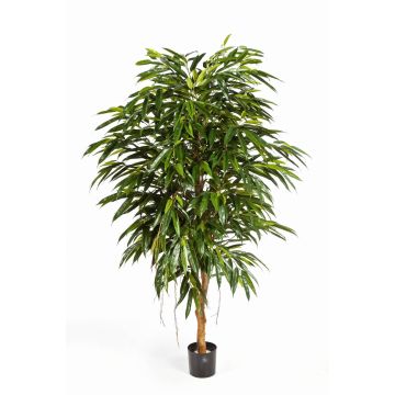 Faux longifolia HISA, tronc naturel, vert, 150cm