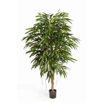 Faux longifolia HISA, tronc naturel, vert, 210cm