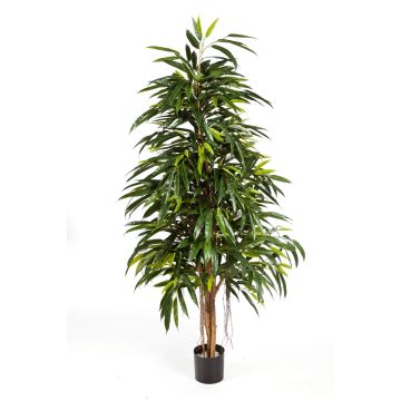 Plante artificielle Longifolia LENYA, vrais troncs, vert, 150cm
