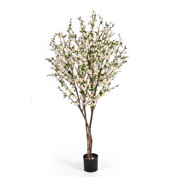 Cerisier artificiel ZADAR, vrais troncs, fleurs, blanc, 140cm