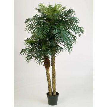 Faux palmier Phoenix CAMILA, 210cm