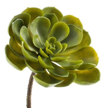 Echeveria artificiel RICARDO, sur piquet, vert, 14cm, Ø17cm
