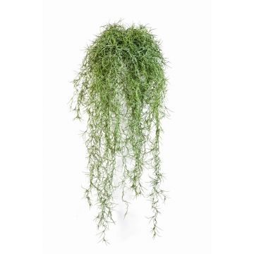 Tillandsia usneoides artificiel IRMENA, piquet, vert, 80cm