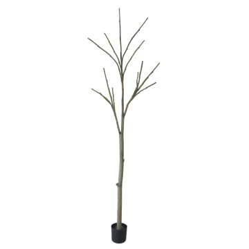 Tronc d'arbre artificiel sans feuilles YANING avec branchages, brun-gris, 270cm