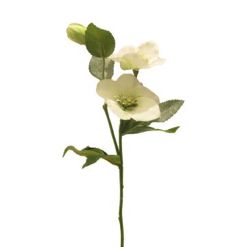 Fleur artificielle sur tige Rose de Noël SHIEN, givrée, blanc, 55cm