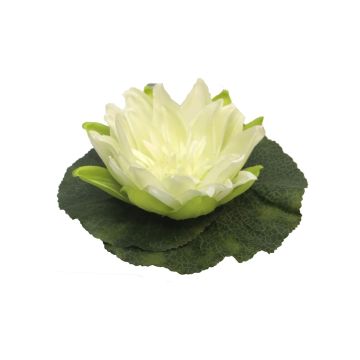 Fleur de nymphéa artificielle SHUOLIN, flottant, crème, Ø18cm