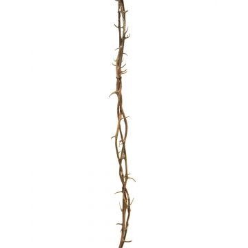 Guirlande artificielle épine du Christ WANNIE, brun, 105cm