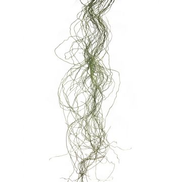 Herbe artificielle jonc spiralé XINNUO, 48 brins, vert, 150cm