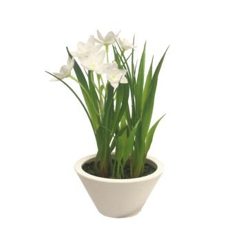 Fleur en plastique narcisse XISHAN en cache-pot, blanc, 18cm