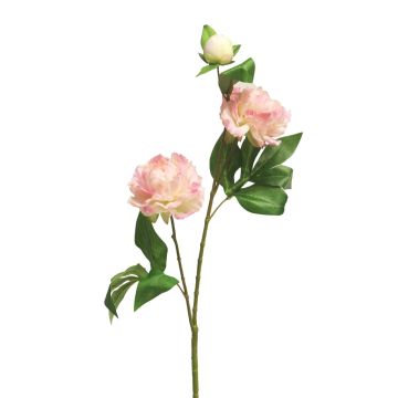 Pivoine artificielle sur tige YILING, rose-blanc, 65cm