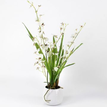 Cymbidium artificiel SHANIA, pot en céramique, blanc-brun, 50cm, Ø3-4cm