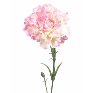 Faux œillet VANERA, rose-blanc, 60cm, Ø8cm
