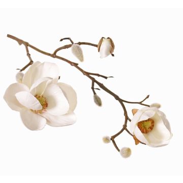 Magnolia en tissu KOSTAS, crème, 55cm, Ø5-8cm