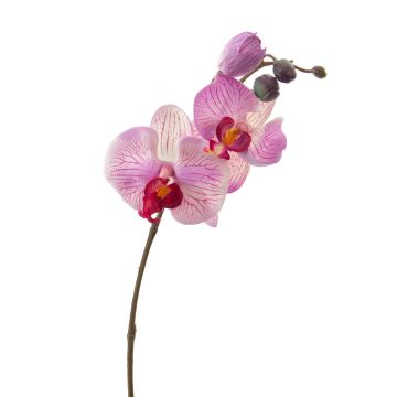 Tige d’orchidée artificielle VANESSA, rose-fuchsia, 30cm, Ø2-8cm