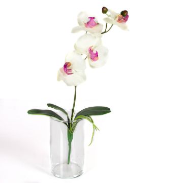 Orchidée en tissu MADOU sur piquet, blanc-rose, 40cm, Ø8-9cm