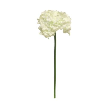 Fleur boule de neige artificielle GENGMU, crème, 30cm