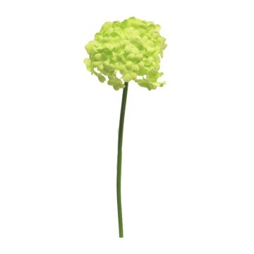 Fleur boule de neige artificielle GENGMU, vert clair, 30cm