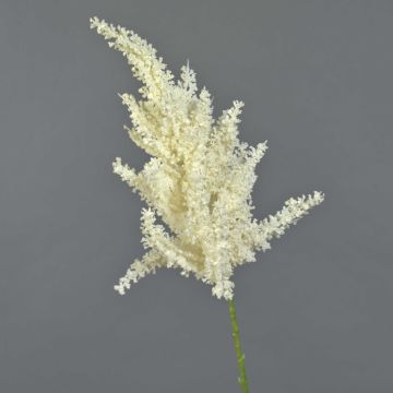 Fleur artificielle Astilbe YUANKE, crème, 70cm