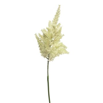 Fleur artificielle Astilbe YUANKE, crème, 70cm
