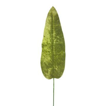 Feuille de bananier velours AOXUE, vert, 70cm
