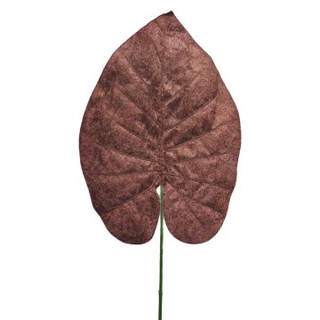 Feuille de Philodendron Scandens veloutée AOSHEN, brun, 70cm