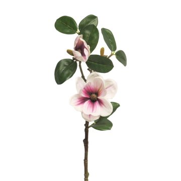 Fleur artificielle magnolia KETIAN, blanc-fuchsia, 50cm