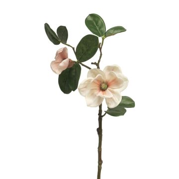 Fleur artificielle magnolia KETIAN, blanc-rose, 50cm