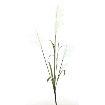 Branche artificielle herbe de la pampa LINEN avec panicules, blanc, 145cm