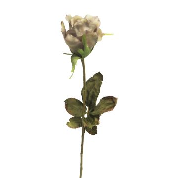 Fleur décorative Rose HUINA, beige-violet, 60cm