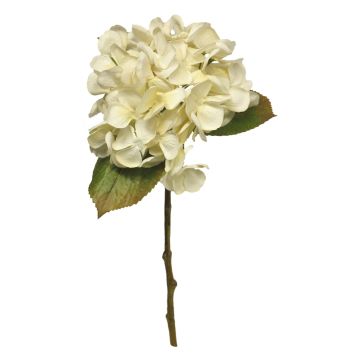 Fleur décorative Hortensia YANEN, crème, 50cm