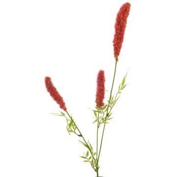Branche décorative d'Actaea XURONG, fuchsia, 60cm