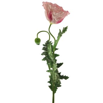 Fleur décorative Coquelicot MIANCUI, rose, 100cm