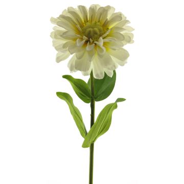 Fleur artificielle zinnia MIANMO, crème, 60cm