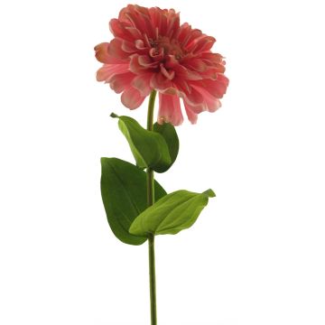 Fleur artificielle zinnia MIANMO, rose, 60cm