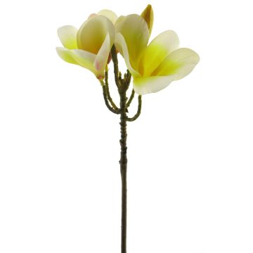 Fleur artificielle frangipani ZIDONG, jaune-crème, 35cm