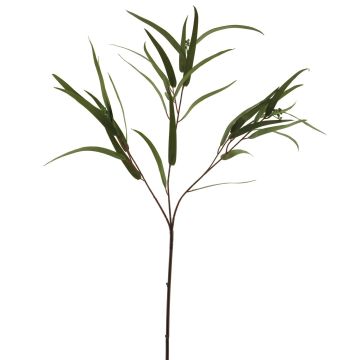 Branche décorative d'eucalyptus ZIYUMU avec graines, vert, 80cm