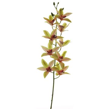 Tige d'orchidée Cymbidium artificielle YAMEI, rose-vert, 80cm