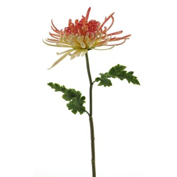 Fleur décorative Chrysanthème YASULI, fuchsia-jaune, 70cm